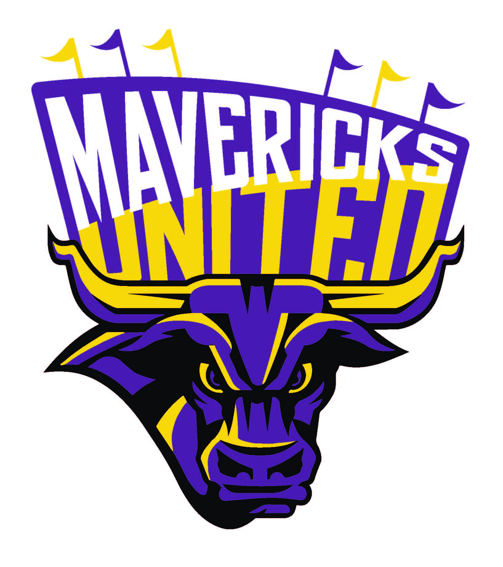 Maerick head with words Mavericks united above the shirt.